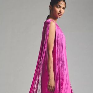 Anthropologie  hutch dress